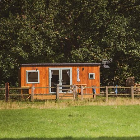 The Hideaway At Hiddenwood Glamping Hotel Corsley Екстериор снимка